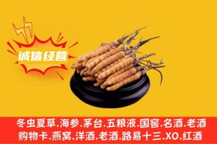 衢州回收冬虫夏草